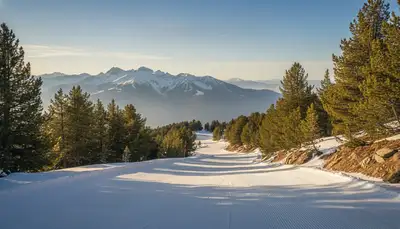 Alpine / Downhill