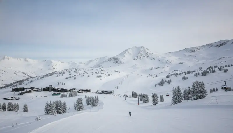 How to Choose Skis for Beginners: A Practical Buying Guide